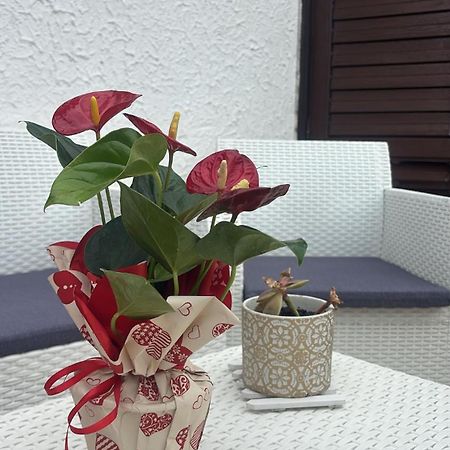 Appartamento Giardini Naxos Butterflies Home Schiso Dış mekan fotoğraf